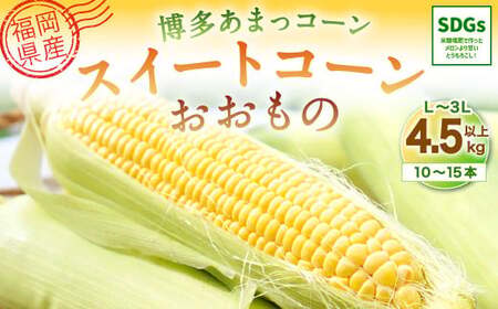 [2024年6月上旬発送開始]福岡県産 SDGs米糠堆肥で作ったメロンより甘い「博多あまっコーン(おおもの)」4.5kg以上
