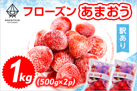 ふるなび限定 フローズンあまおう1kg 冷凍イチゴ いちご 苺 BD10-1 FN-Limited