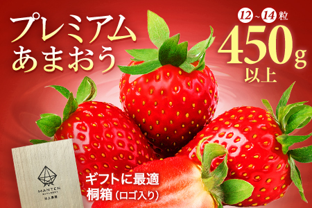 [ふるなび限定]桐箱入り高級あまおうギフト(9〜15玉)450g いちご イチゴ 苺 FN-Limited