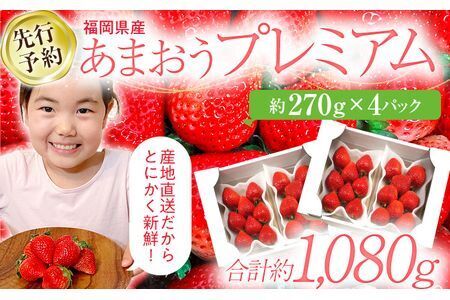 ★ふるなび限定【先行予約/2026年】福岡県産あまおう 約270ｇ×4パック《2026年3~4月発送》CL002-f FN-Limited