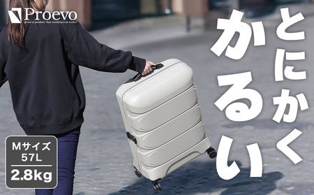 [Proevo] 13001-3 Lite Frex 超軽量ファスナーキャリーM AY383 スーツケース 超軽量 3kg以下 キャリーケース キャリーバッグ 耐衝撃 中型 薄型 静音 ダブルキャスター TSAロック搭載 カップホルダー付き PC100% ファスナータイプ 旅行 ビジネス 出張 入院 13002 (D.グレー/サンドベージュ/Mサイズ)