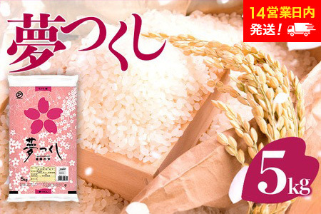 米 令和6年産 米 福岡県産米 夢つくし 米 5kg 精米 [14営業日以内に発送]