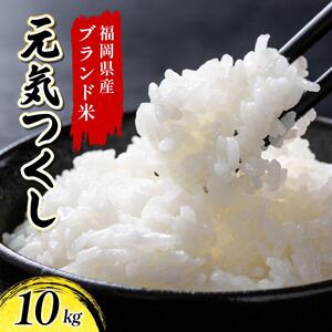 令和６年産 福岡県産米 元気つくし 10kg 精米 CY012
