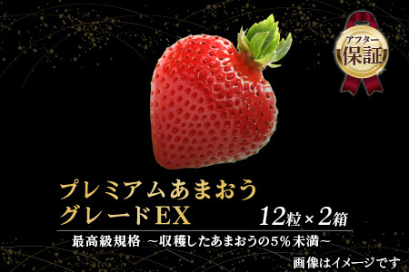 いちご [超プレミアム]博多あまおういちご EX (約450g×2P)
