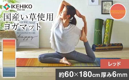 畳ヨガJAPAN　ジョイ（60×180）（レッド）　AA050