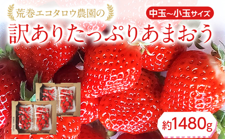荒巻エコタロウ農園のちょっと小ぶりなたっぷりあまおう1,480g(約370g×4パック) 中玉〜小玉サイズ サイズ不揃い [2026年2月~4月]BJ02