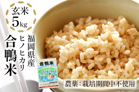 合鴨米「ヒノヒカリ」(玄米・5kg)