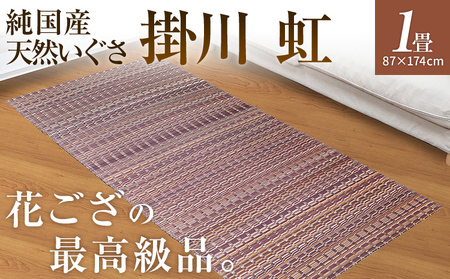 純国産天然いぐさ　「掛川　虹」１畳（茶色）　BG003