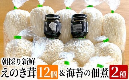 朝採り新鮮えのき茸と海苔の佃煮2種のセット