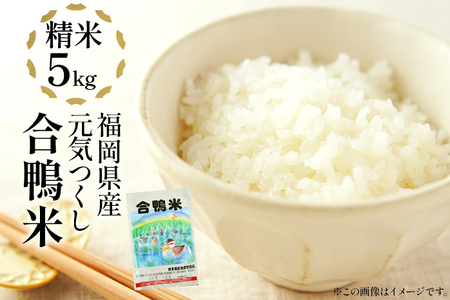 令和7年産 予約 合鴨米「元気つくし」（精米・5ｋｇ） ※2025年10月中旬より順次出荷予定　BI08　