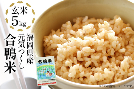 令和7年産 予約 合鴨米「元気つくし」（玄米・5ｋｇ） ※2025年10月中旬より順次出荷予定　BI09