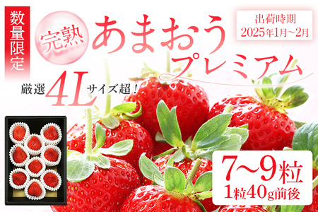 あまおうプレミアム ※2025年1月〜2月頃発送予定