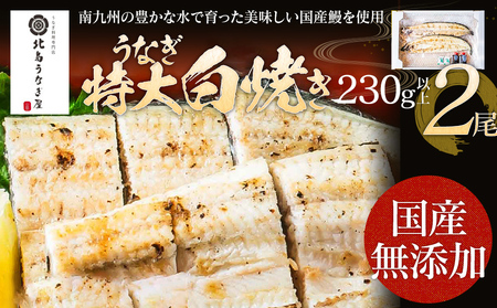 うなぎの特大白焼き(2尾)230g以上×2尾