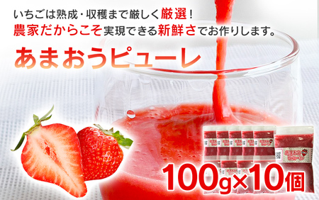 あまおうピューレ100g×10個
