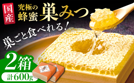 国産巣みつ 600g(300g×2個) 蜂蜜 はちみつ コムハニー 極上 濃厚 広川町 / 株式会社九州蜂の子本舗 [AFAI005]