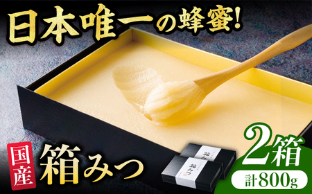 [先行受付 令和6年12月より発送]箱みつ 2個セット 合計800g (400g×2個) 蜂蜜 はちみつ ハチミツ 高級 濃厚 バター ハニー クリーム 箱蜜 蜂蜜 広川町 / 株式会社九州蜂の子本舗 [AFAI016]