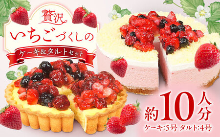 ケーキ・タルトセット(苺のムースケーキ・ベリーベリータルト) けーき いちご イチゴ 苺ケーキ たると スイーツ デザート ベリー 洋菓子 お菓子 スポンジ 冷凍 広川町 / イートウェル株式会社 [AFAK152]