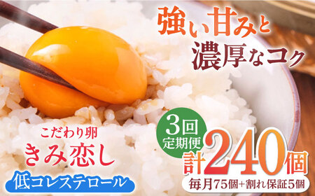 [3回定期便]きみ恋し 80個(75個+割れ保証5個)×3ヶ月 総計240個 広川町/伊藤養鶏場 [AFAJ012]