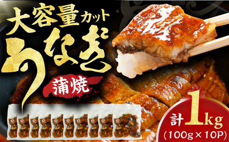 中国産ニホンウナギ 大容量刻み鰻個食パック 計1kg(100g×10P)魚 うなぎ ウナギ 鰻 大容量 小分けパック 広川町 / イールファクトリー株式会社[AFBS001]