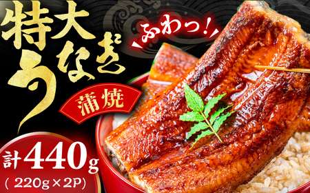 中国産ニホンウナギ 特大蒲焼(220g×2尾)魚 うなぎ ウナギ 土用の丑の日 鰻 かば焼き 蒲焼き 広川町 / イールファクトリー株式会社[AFBS005]