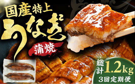 [3回定期便]国産鰻蒲焼 特上品(200g×2尾) / 鰻 うなぎ ウナギ 蒲焼 蒲焼き かば焼き うなぎ 鰻 国産ウナギ 鰻[AFBS014] うなぎ ウナギ うなぎ 鰻