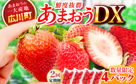 [2回定期便]博多あまおう 2ケース 広川町 / JAふくおか八女農産物直売所どろや[AFAB079]