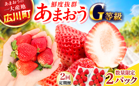[2回定期便] あまおうG等級 1ケース(270g×2パック) 広川町 / JAふくおか八女農産物直売所どろや[AFAB083]