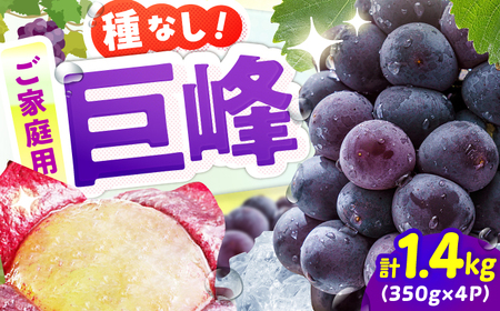 [★先行予約★ 2025年7月下旬より発送][ご家庭用]種無し巨峰 約350g×4パック / ぶどう ぶどう ぶどう ぶどう ぶどう[AFAB086]