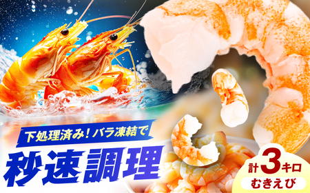 ނGr@3kg@L쒬 / ЃC[t@Ng[[AFBS024]