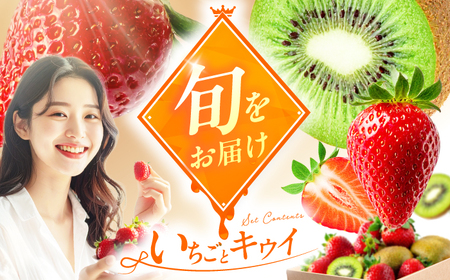 フルーツ詰合せ(あまおうDX 2パック&キウイ12個) / 果物 くだもの [AFAB087]