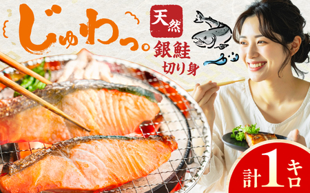 銀鮭 切り身 1kg 広川町 / 株式会社イールファクトリー[AFBS025]