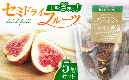 福岡ブランド!とよみつひめセミドライフルーツ5個セット 広川町 / 亀井通産(株)[AFAR035]
