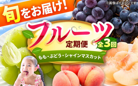 [3回定期便]フルーツ定期便(桃/ぶどう/シャインマスカット) 広川町 / JAふくおか八女農産物直売所どろや[AFAB090]