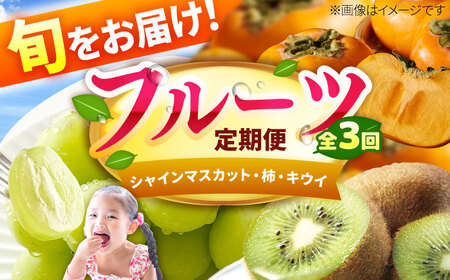 [3回定期便]フルーツ定期便(シャインマスカット/柿/キウイ) 広川町 / JAふくおか八女農産物直売所どろや[AFAB091]