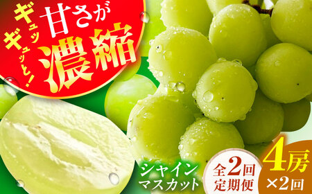 [2回定期便]シャインマスカット2回定期便 広川町 / JAふくおか八女農産物直売所どろや[AFAB092]