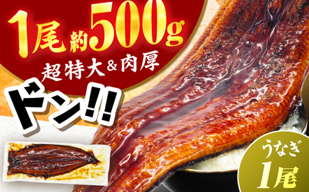 【新登場】【1尾約500g】超特大うなぎ蒲焼×1尾　広川町 / 株式会社イールファクトリー[AFBS031]