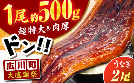【新登場＆大感謝祭】【1尾約500g】超特大うなぎ蒲焼×2尾　広川町 / 株式会社イールファクトリー[AFBS032]