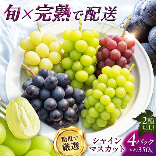 シャインマスカット 食べ比べ 4パック | ぶどう [AFCM001]