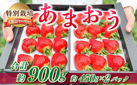 ギフト配送 約450g×2パック 計900g EX 福岡県産 あまおう 特別栽培[2025年1月上旬から3月下旬発送予定] いちご 苺 イチゴ ベリー 果物 フルーツ お取り寄せ デザート おやつ