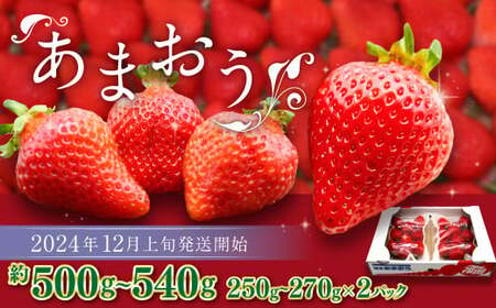 博多あまおう(冬) 約250g〜270g×2パック 計約500g〜540g[2024年12月上旬〜2025年1月下旬発送予定]いちご 苺 イチゴ 果物 フルーツ