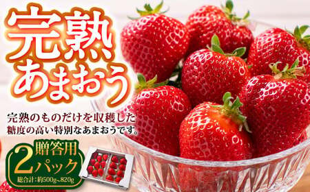 完熟あまおう 贈答用 約250g〜410g×2パック 合計約500g〜820g [2025年1月上旬〜3月上旬順次出荷予定]いちご 苺 イチゴ ベリー 果物 フルーツ お取り寄せ デザート おやつ