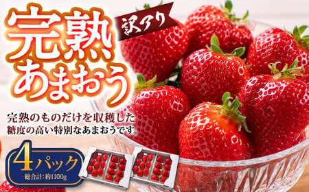 [訳あり]完熟あまおう 約275g×4パック 合計約1.1kg [2025年1月上旬〜3月上旬順次出荷予定]いちご 苺 イチゴ ベリー 果物 フルーツ お取り寄せ デザート おやつ