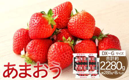 ܂ 2280g 285g×8pbN t@[ ①yӂGR_YF؁zy2026N2{-3{\z