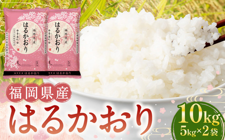 [令和6年産]福岡県産米 はるかおり 精米 10kg / ふるさと納税限定 ふるさと納税限定品 お米 米 白米 食品 ご飯 飯 九州 福岡県 香春町
