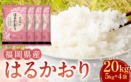 【令和6年産】福岡県産米 はるかおり 精米 20kg ／ ふるさと納税限定 ふるさと納税限定品 お米 米 白米 食品 ご飯 飯 九州 福岡県 香春町