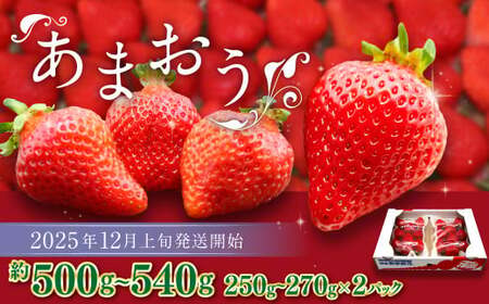 博多あまおう(冬) 約250g〜270g×2パック 計約500g〜540g[2025年12月上旬-2026年1月下旬発送予定] いちご 苺 イチゴ 果物 フルーツ