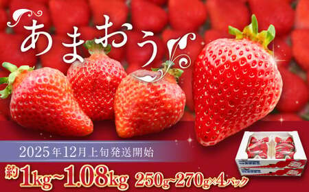܂i~j 250g`270g×4pbN v1kg`1.08kgy2025N12{-2026N1{\z   C`S ʕ t[c