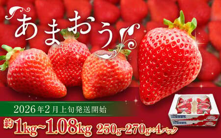 ܂itj 250g`270g×4pbN v1kg`1.08kgy2026N2{-4{\z  C`S ʕ t[c