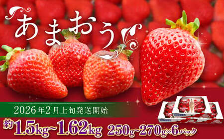 ܂itj 250g`270g×6pbN v1.5kg`1.62kgy2026N2{-4{\z  C`S ʕ t[c