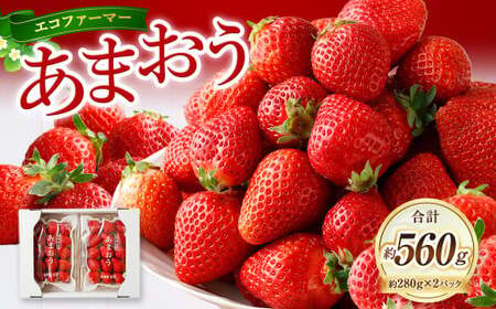 [2026年1月発送] エコファーマー あまおう 約280g×2パック 計560g / いちご 苺 イチゴ ベリー 果物 フルーツ お取り寄せ デザート おやつ
